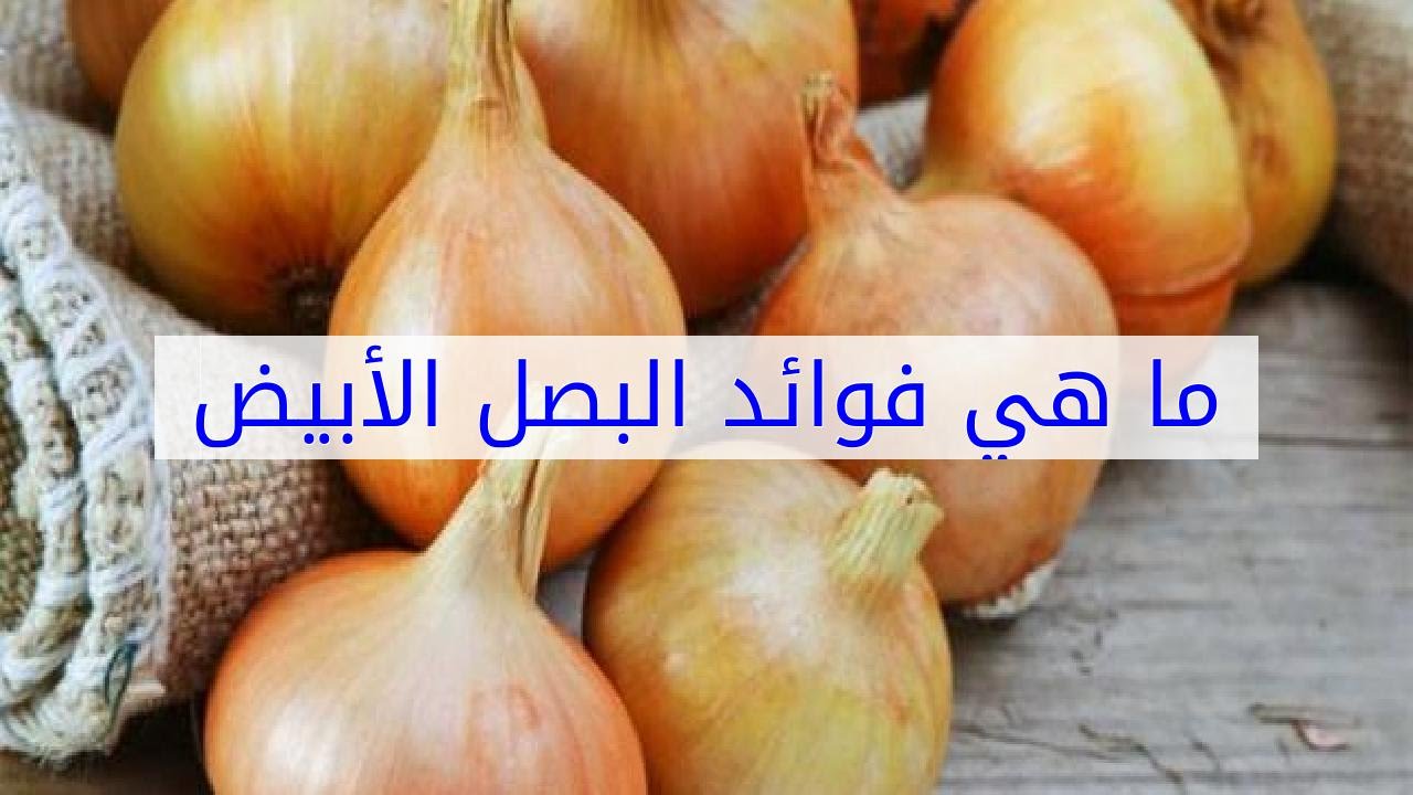 فوائد البصل الابيض , اهمية اكل البصل