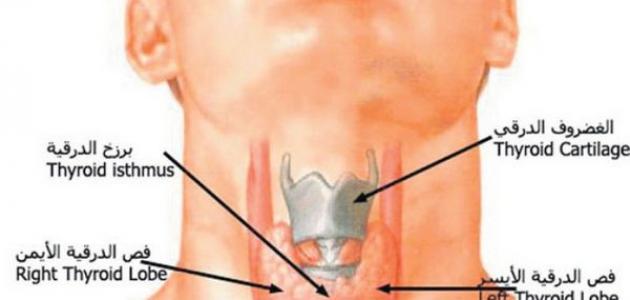 ما هي الغده , انتبه قد تكون مصاب بالغده