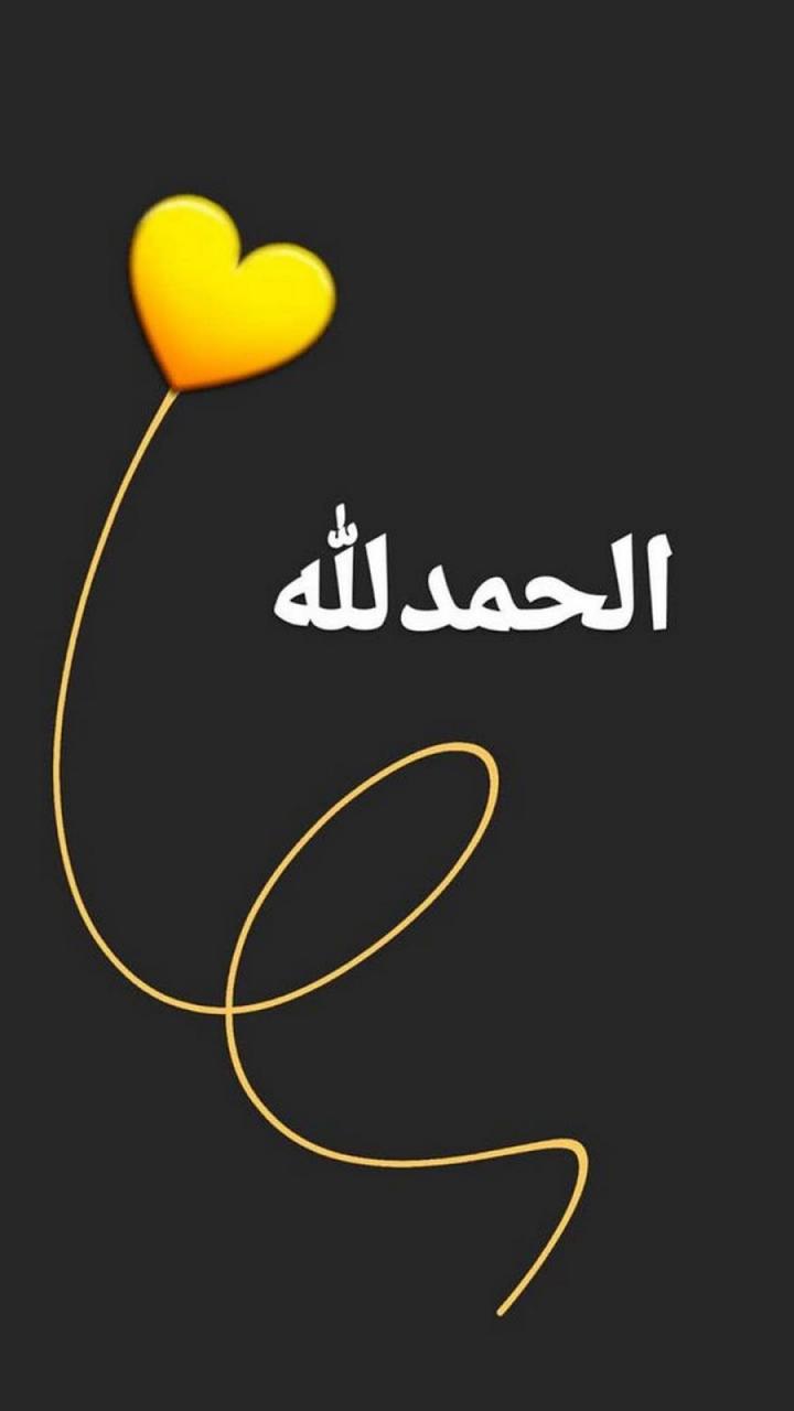 صور خلفيات لوتس , شاهد احلي صور خلفيات