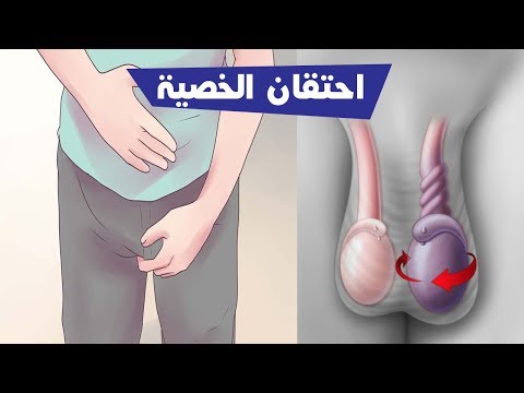 علاج احتقان الخصية , هل تعاني من التهابات في الخصيه