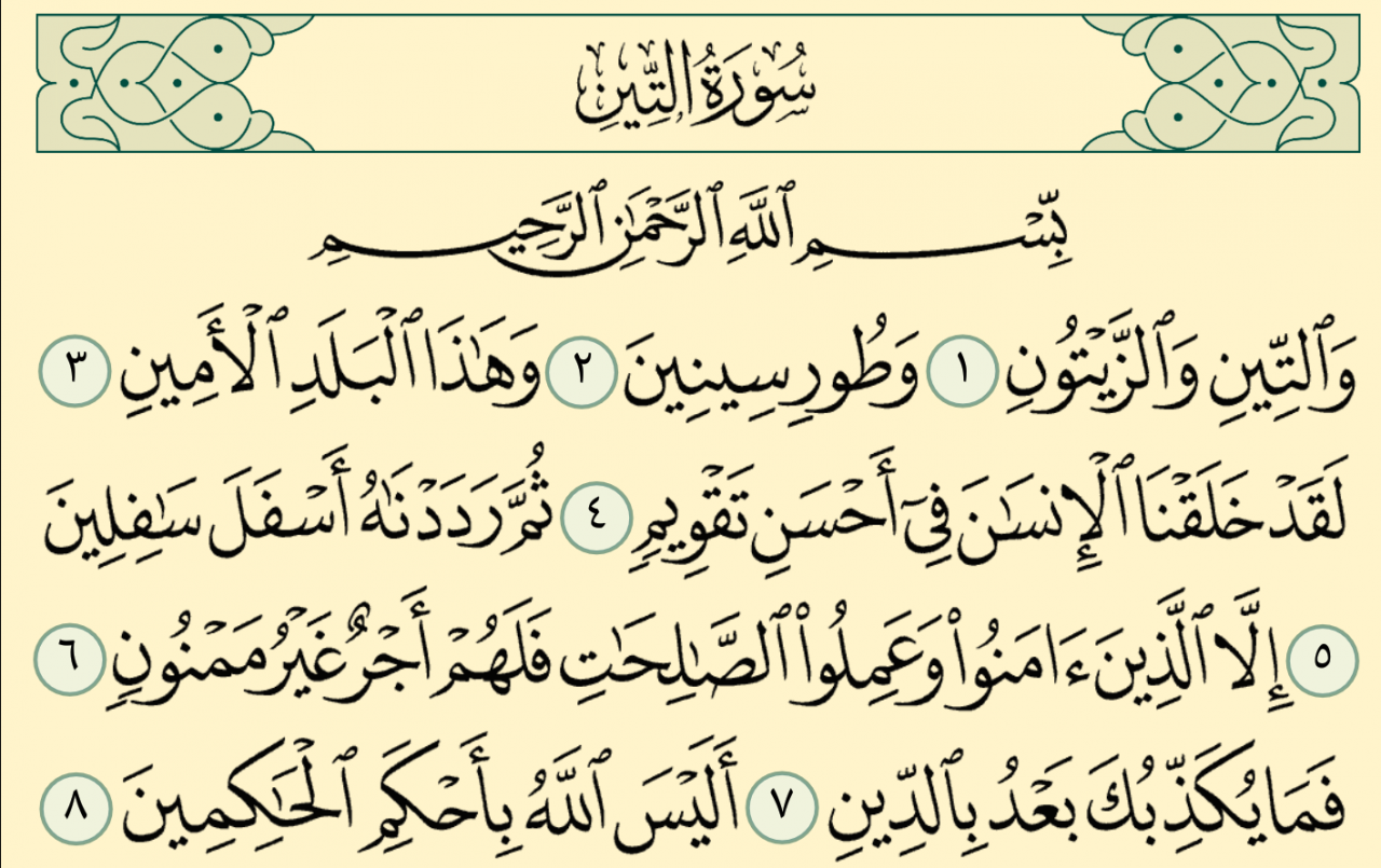 تفسير سورة التين , التفسير المفصل لسورة التين