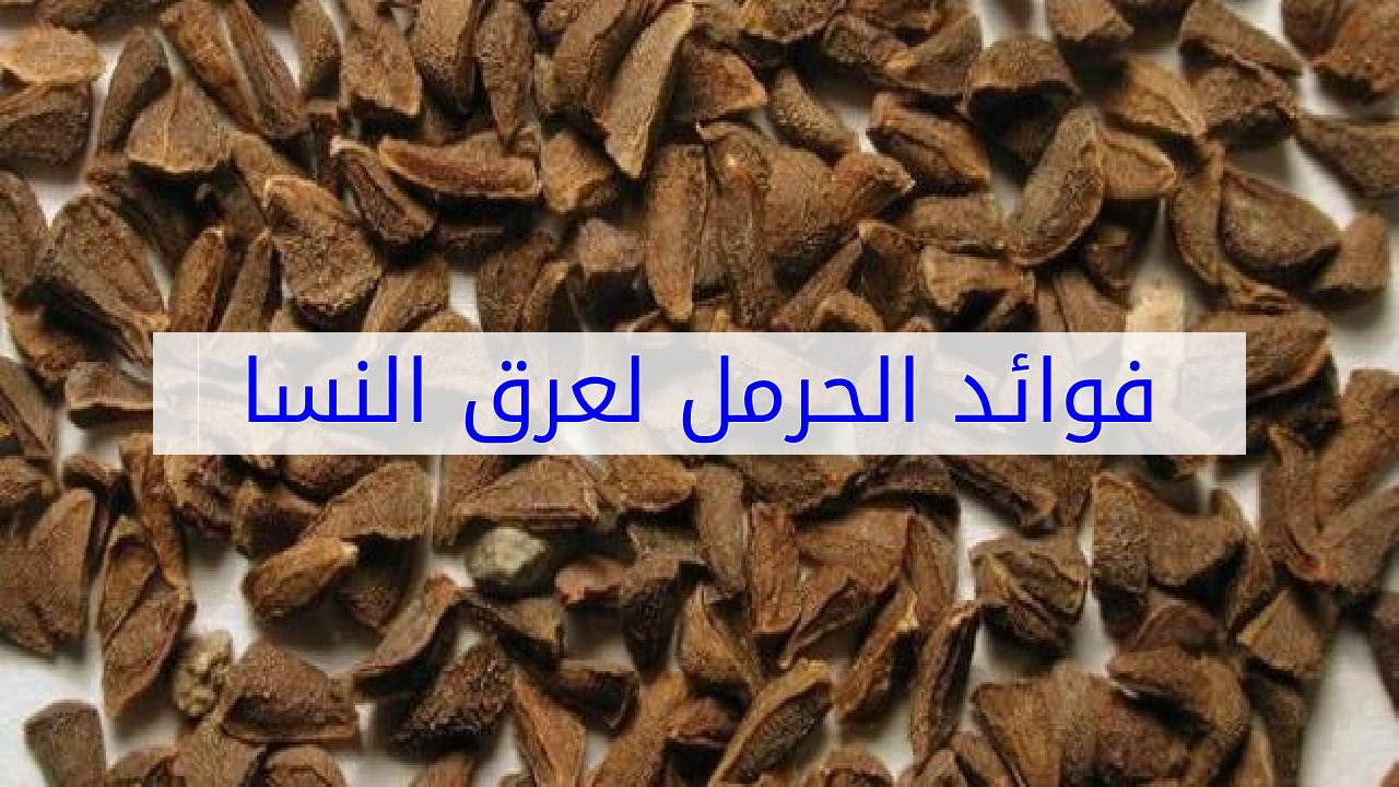 الحرمل لعلاج عرق النسا , ما هو عرق النسا