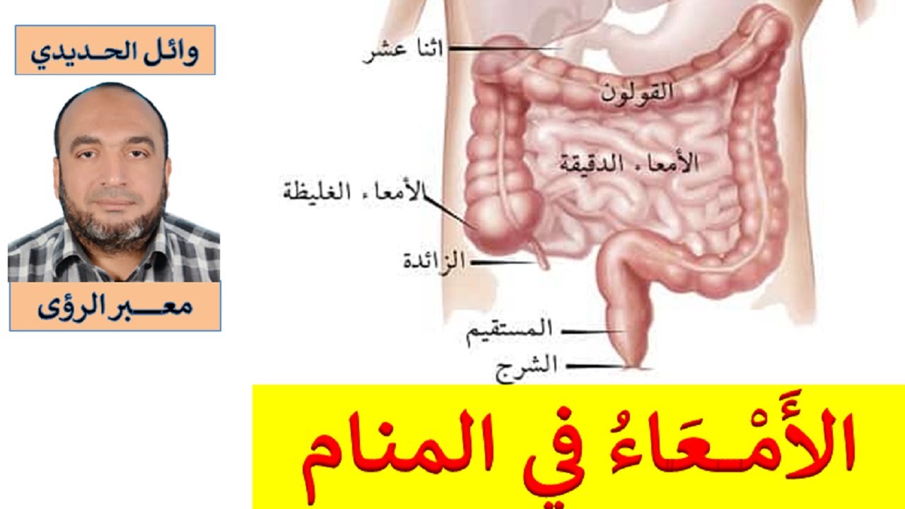 تفسير الامعاء في المنام , لما تشوف فى حلمك امعاء