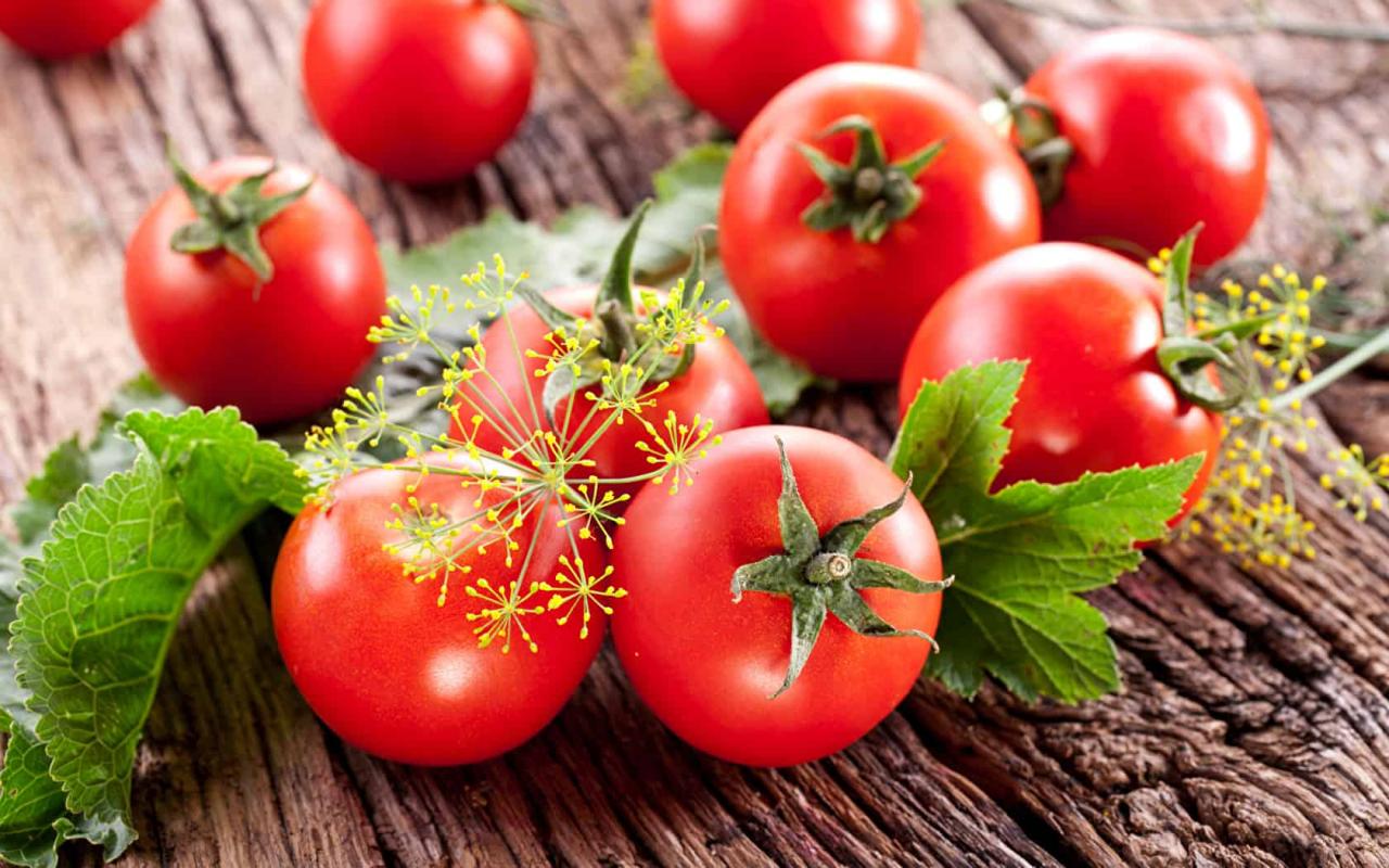 كيفية زراعة الطماطم , اسهل طريقة لزراعة الطماطم ابداع افكار