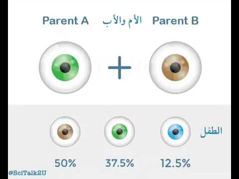 اكل يحدد لون عيون الجنين , حددي لون عين جنينك